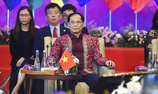 Bộ trưởng Ngoại giao Bùi Thanh Sơn đã cùng các nước dự Diễn đàn Khu vực ASEAN (ARF) lần thứ 30. Ảnh: Bộ Ngoại giao