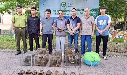 Nhiều cá thể động vật được bàn giao cho Vườn Quốc gia Vũ Quang để thả về tự nhiên. Ảnh: Quang Tuấn.