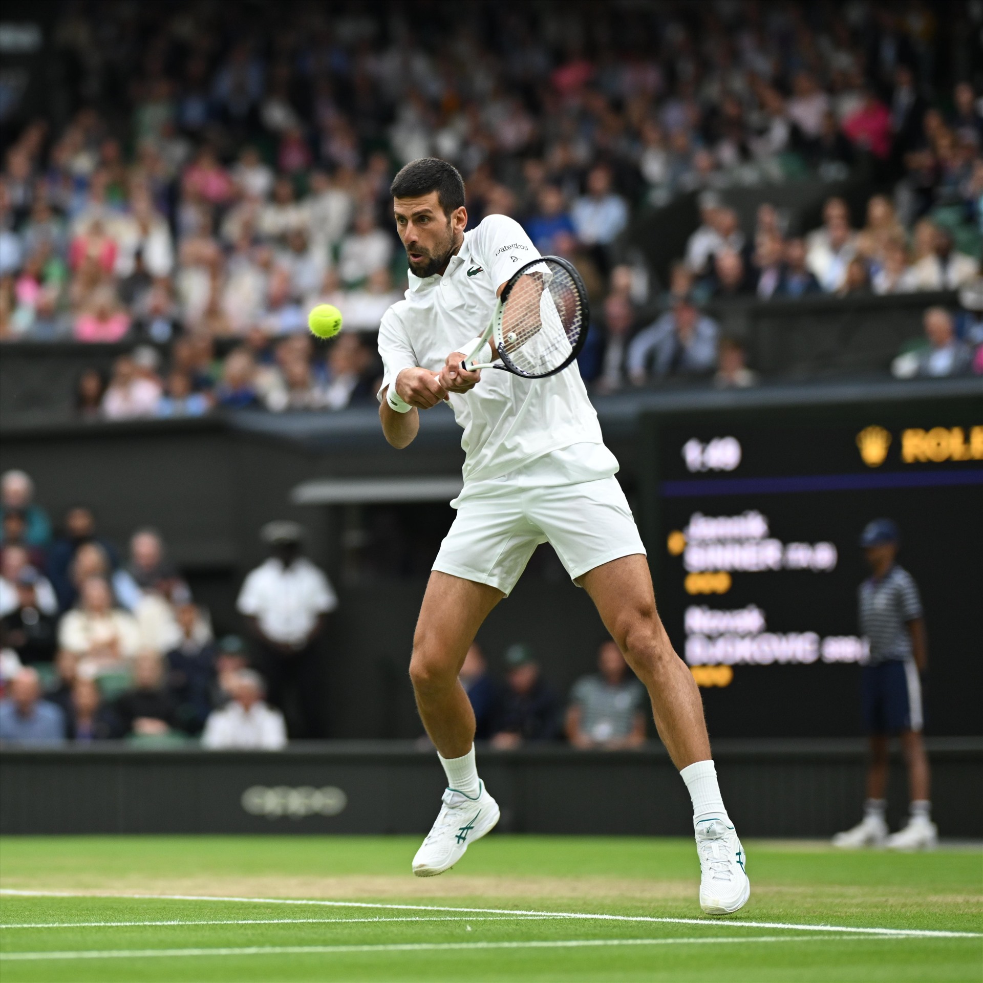 Djokovic vẫn đang là “bức tường thành khó khoan phá“. Ảnh: Wimbledon