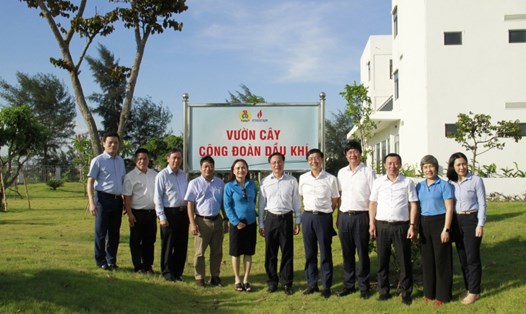 Vườn cây Công đoàn Dầu khí tại Ban Quản lý Dự án Nhiệt điện Dầu khí Thái Bình 2. Ảnh: Thành Công