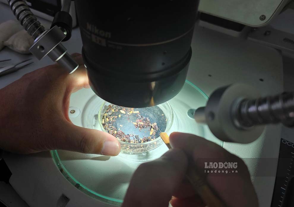 Kiểm dịch nông sản tại Trạm kiểm dịch Móng Cái. Ảnh: Đoàn Hưng