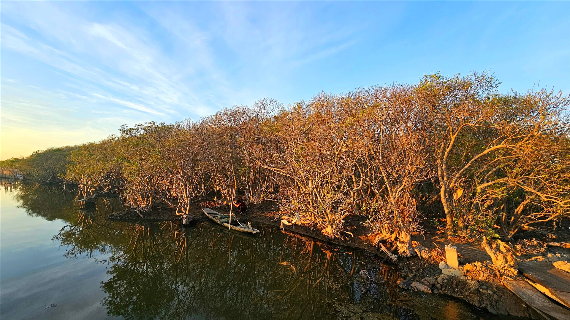 Theo tìm hiểu, người Huế hay ví von rừng ngập mặn Rú Chá như một bức bình phong án ngữ che chắn cho đất liền ở biển Thuận An, nên khi có bão lũ thì rừng không bị ảnh hưởng nhiều. 