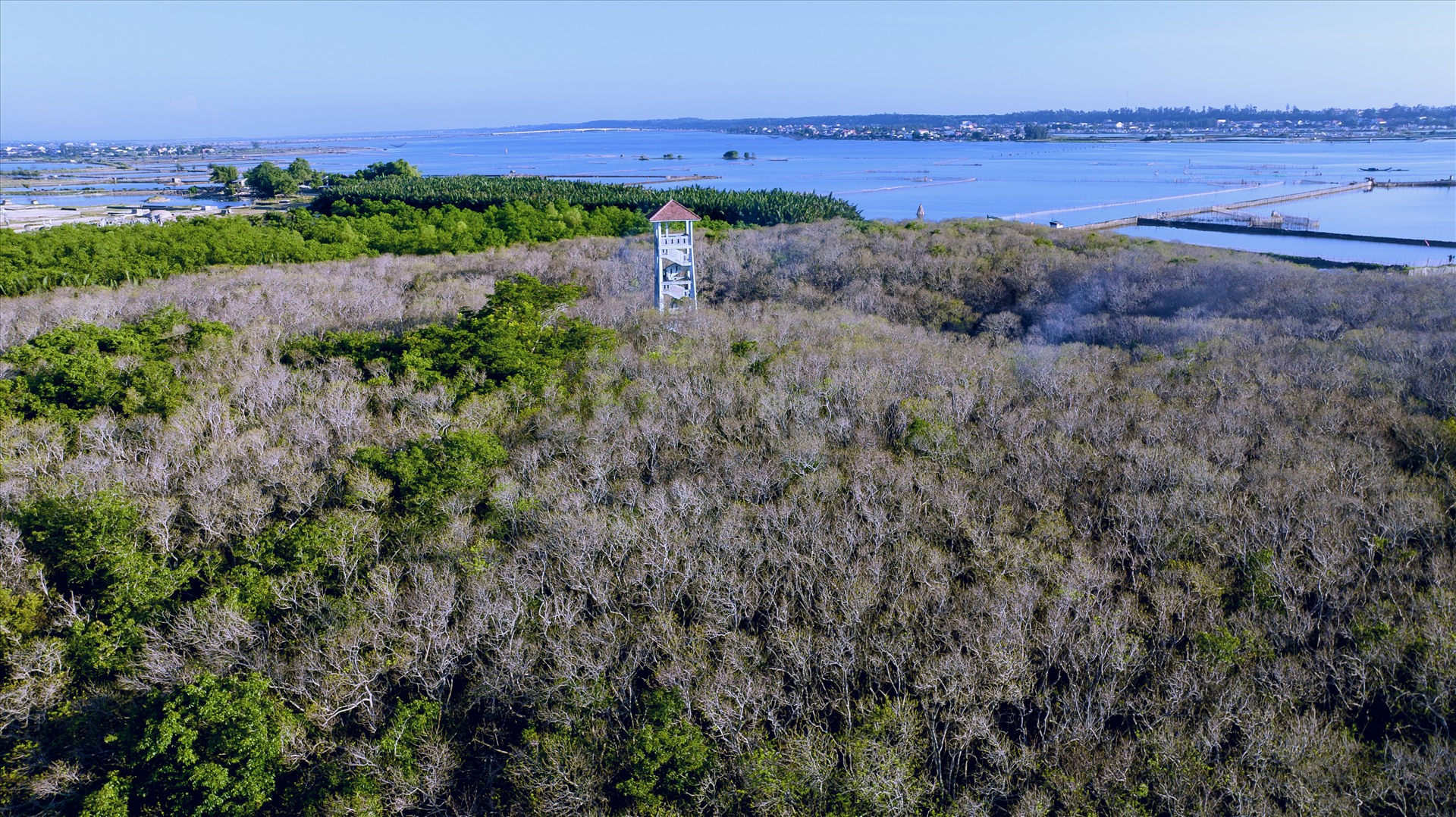 Nếu bạn muốn tìm đến một không gian rừng thanh vắng để thư giãn và khám phá thì nơi đây sẽ là điểm đến hoàn hảo. Đặc biệt đầu tháng 9 cũng là lúc những cây chá bắt đầu trổ bông với sắc hoa rực rỡ, đồng thời cũng là dấu hiệu thông báo cho mọi người biết đã sắp đến mùa mưa lũ.