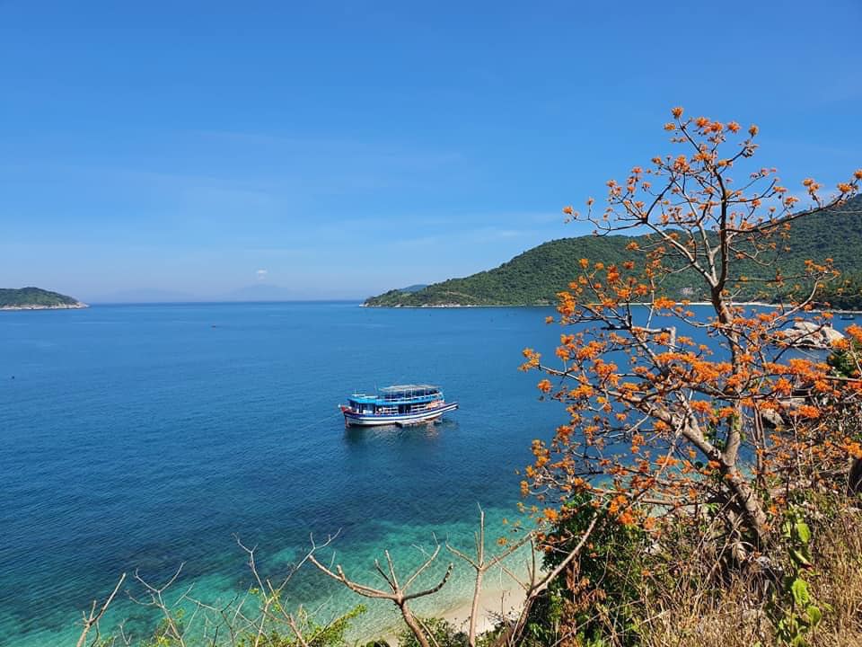 Hội An miễn phí vé tham quan Cù Lao Chàm cho du khách. Ảnh: Nguyễn Linh