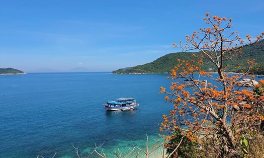 Hội An miễn phí vé tham quan Cù Lao Chàm cho du khách. Ảnh: Nguyễn Linh