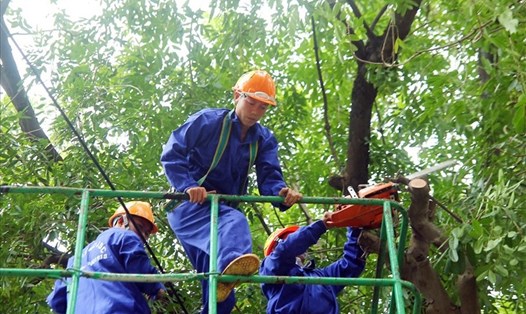 Hà Nội cắt tỉa cây xanh trước mùa mưa bão. Ảnh: LĐO