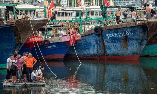 Tàu cá neo đậu tại cảng Tanmen, đảo Hải Nam, Trung Quốc trước khi bão Talim dự kiến đổ bộ. Ảnh: China News Service