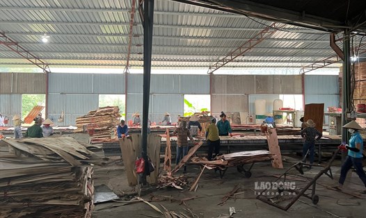 Số lượng công nhân tại các cơ sở chế biến gỗ đã bị giảm đi rất nhiều. Ảnh: Tô Công