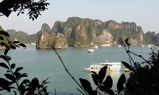 Tàu du lịch vịnh Hạ Long. Ảnh: Nguyễn Hùng