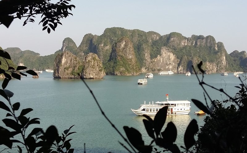 Tàu du lịch vịnh Hạ Long. Ảnh: Nguyễn Hùng