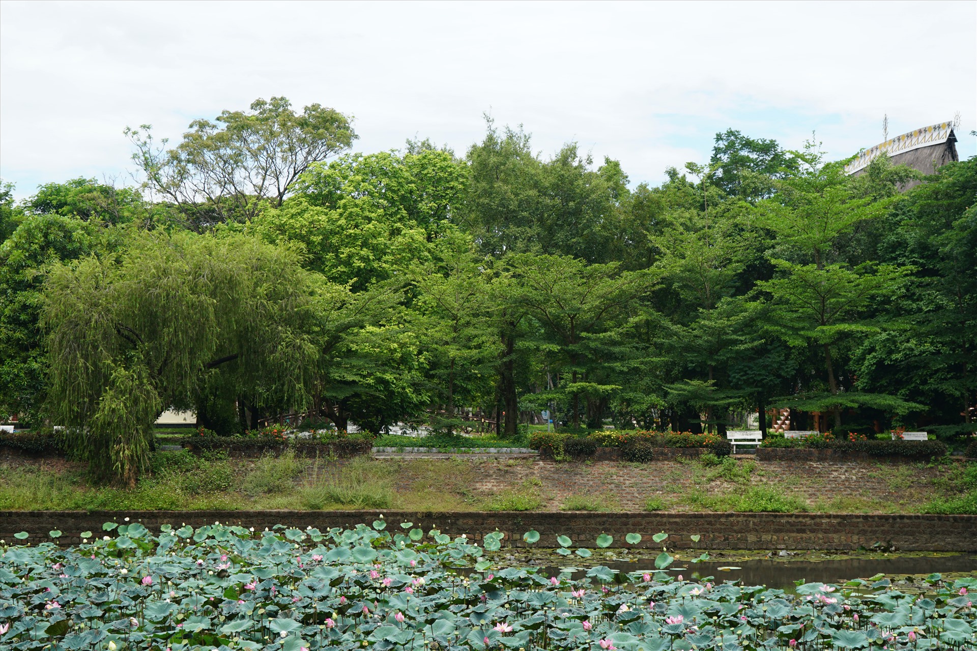 Cảnh quan trong khuôn viên. 