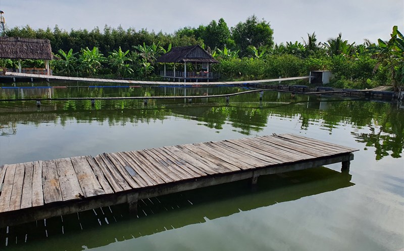 Du lịch cộng đồng về với thiên nhiên tại Cà Mau đang thu hút khách nhưng để đến được điểm du lịch quá xa so với trung tâm thành phố Cà Mau. Ảnh: Nhật Hồ