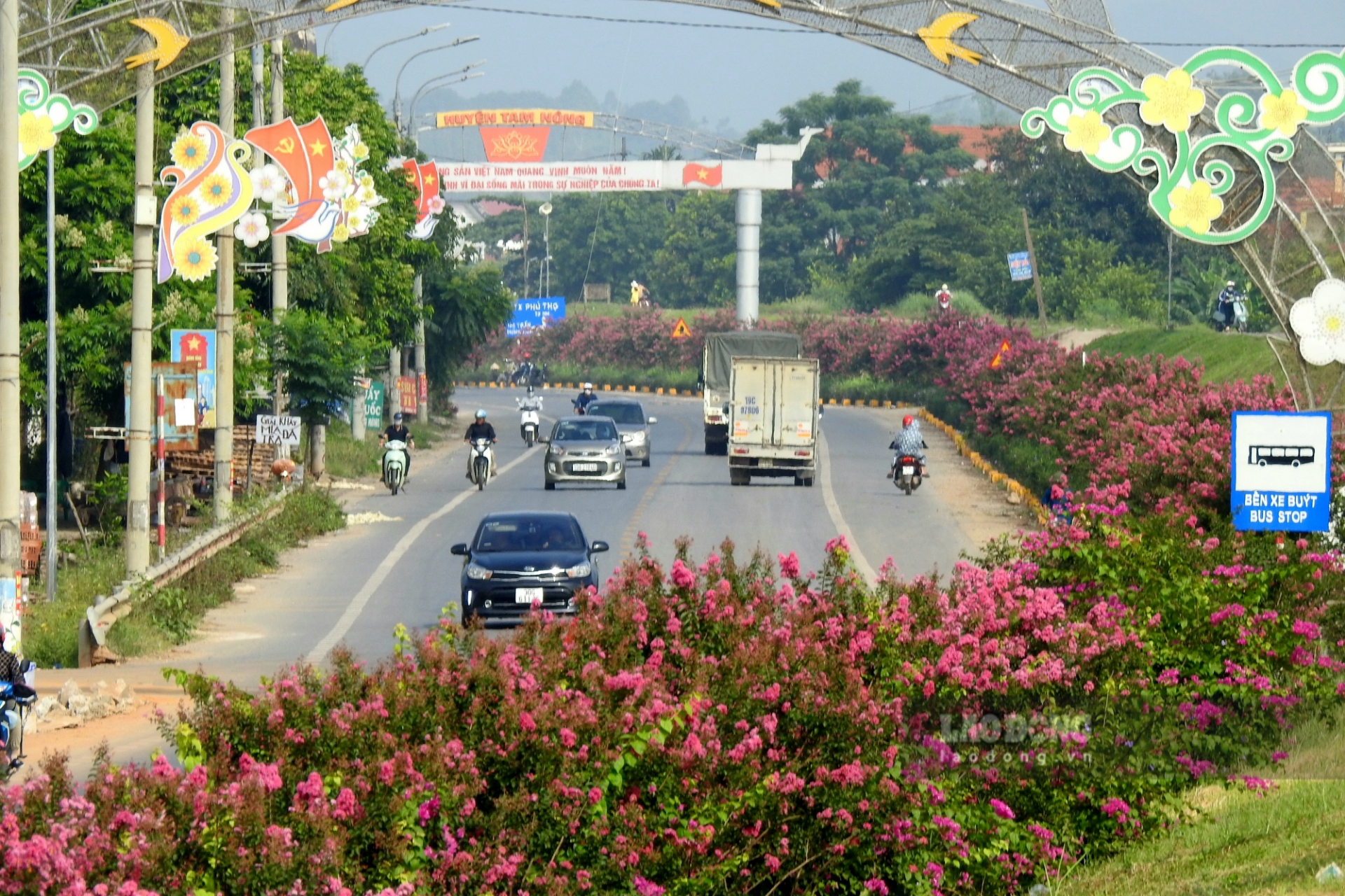 Chị Phùng Thị Phương Thu - sống tại xã Thái Hòa, huyện Ba Vì, TP Hà Nội - chia sẻ: “Đã lâu rồi tôi không sang bên này sông, nay có việc qua đây thấy hoa nở đẹp quá, ít có con đường Quốc lộ nào mà có hoa nở bên đường đẹp như vậy tôi nhưng không dám đi sang đường chụp ảnh vì đường đông quá“.