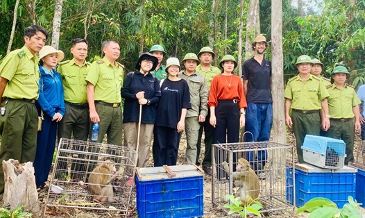 Tiến hành thả 53 cá thể động vật hoang dã về rừng tự nhiên thuộc Vườn Quốc gia Vũ Quang. Ảnh: Quang Tuấn.
