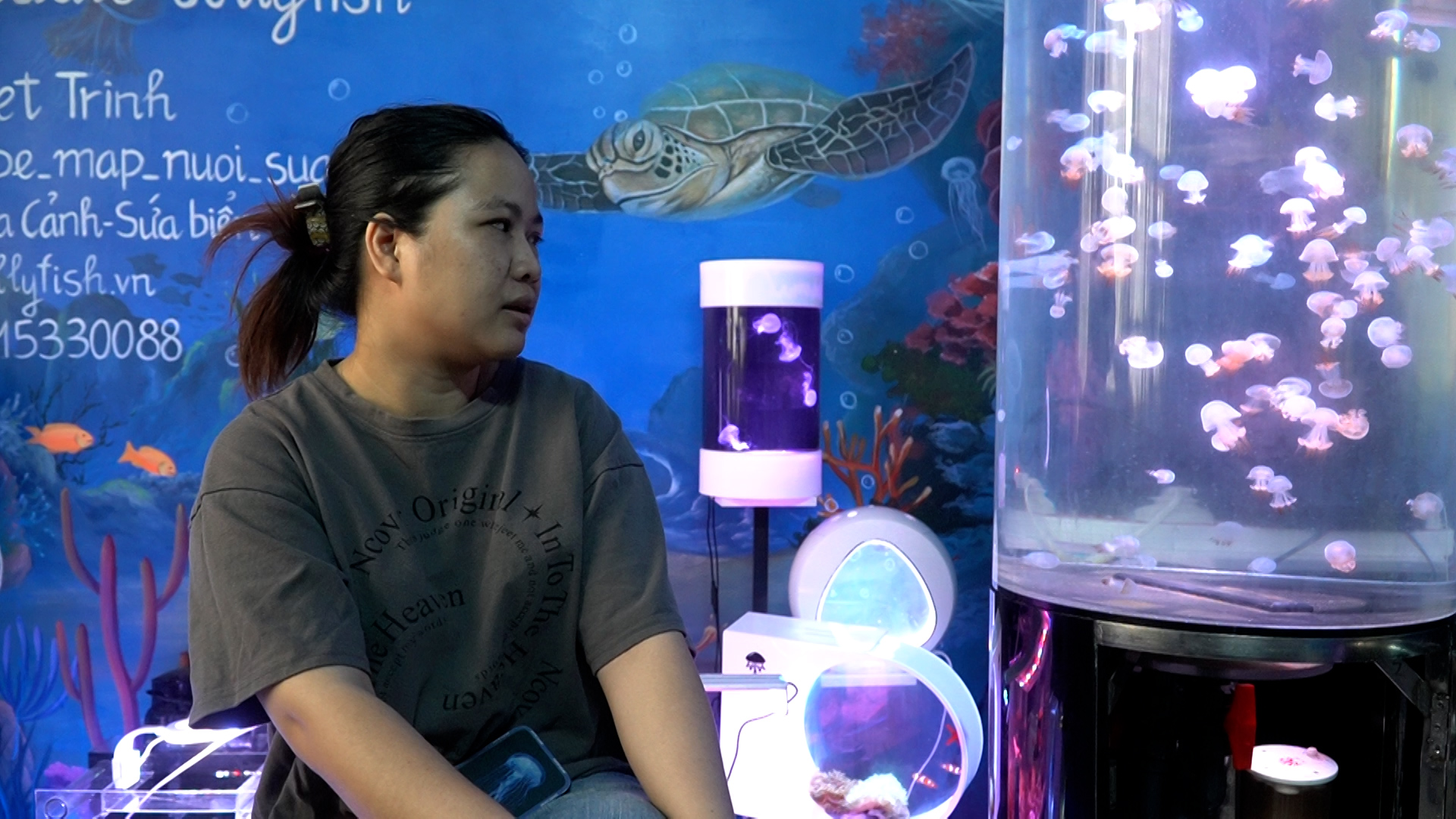 Theo chị Trinh, việc nuôi sứa cảnh không hề dễ dàng khi phải đáp ứng nhiều tiêu chí như nhiệt độ, môi trường nước. Ảnh: NVCC 
