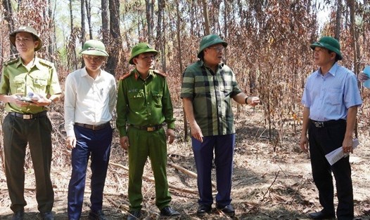 Ông Hà Sỹ Đồng - Phó Chủ tịch Thường trực UBND tỉnh Quảng Trị (thứ 2 từ phải sang) đề nghị các đơn vị liên quan làm rõ nguyên nhân các vụ cháy rừng. Ảnh: Tiến Nhất