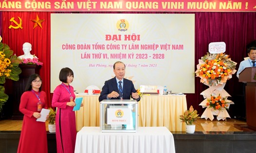 Thực hiện công tác bầu cử tại  Đại hội lần thứ VI, nhiệm kỳ 2023-2028 Công đoàn Tổng công ty Lâm nghiệp Việt Nam . Ảnh: CĐCS