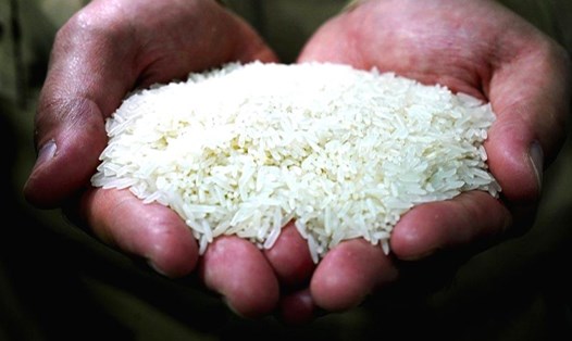 Ấn Độ cấm xuất khẩu gạo từ ngày 20.7.2023. Ảnh: Xinhua