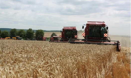 Nga thông báo 7 điều kiện để trở lại thoả thuận ngũ cốc với Ukraina. Ảnh: Xinhua