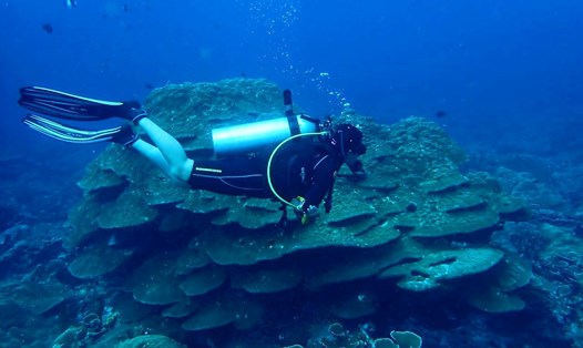 Đỗ Hà Mi đam mê lặn và từng thực hiện những chuyến khám phá Thái Lan, Malaysia, Indonesia để lặn biển. Ảnh: Nhân vật cung cấp