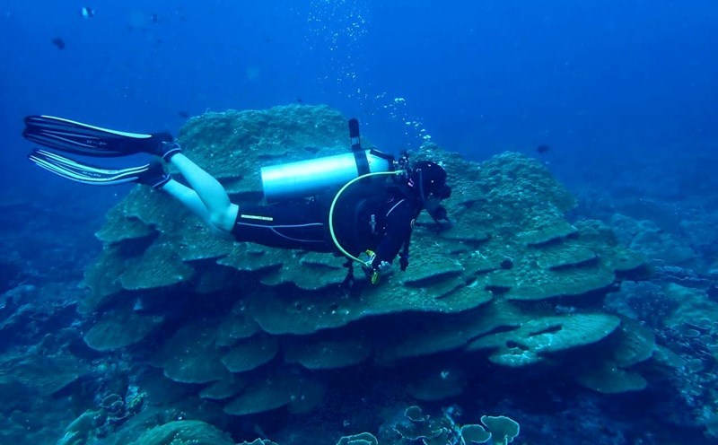 Đỗ Hà Mi đam mê lặn và từng thực hiện những chuyến khám phá Thái Lan, Malaysia, Indonesia để lặn biển. Ảnh: Nhân vật cung cấp