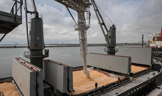 Bốc dỡ ngô ở cảng Constanta, Romania, ngày 3.5.2022. Ảnh: AFP