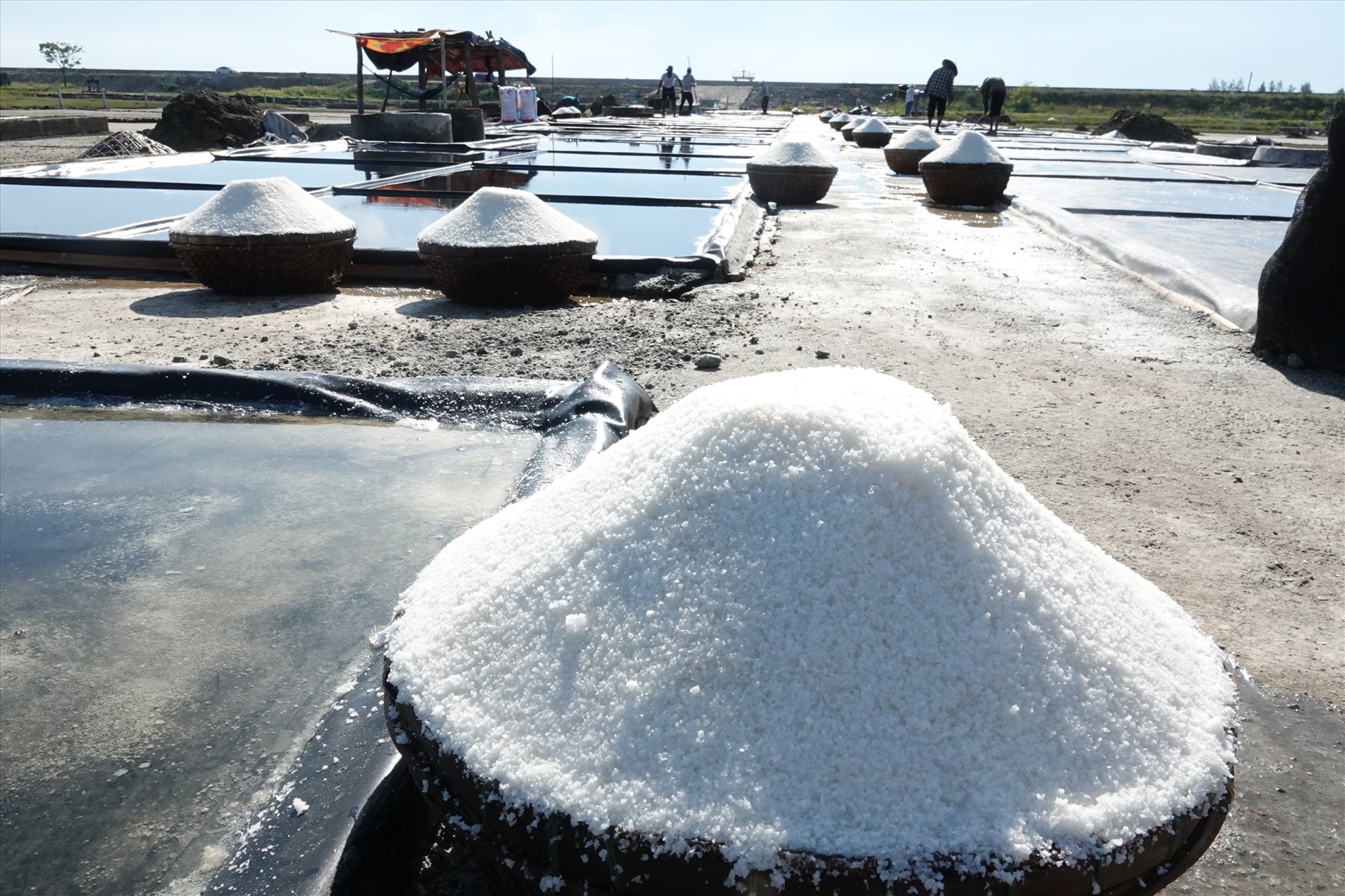 Sản phẩm muối sản xuất trên ô kết tinh trải bạt cho năng suất cao hơn, sạch hơn. Ảnh: Trần Tuấn.