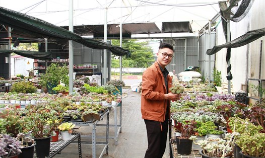 Chàng thanh niên trẻ ở Đắk Lắk tạo việc làm cho nhiều lao động địa phương. Ảnh: Tiến Thoại