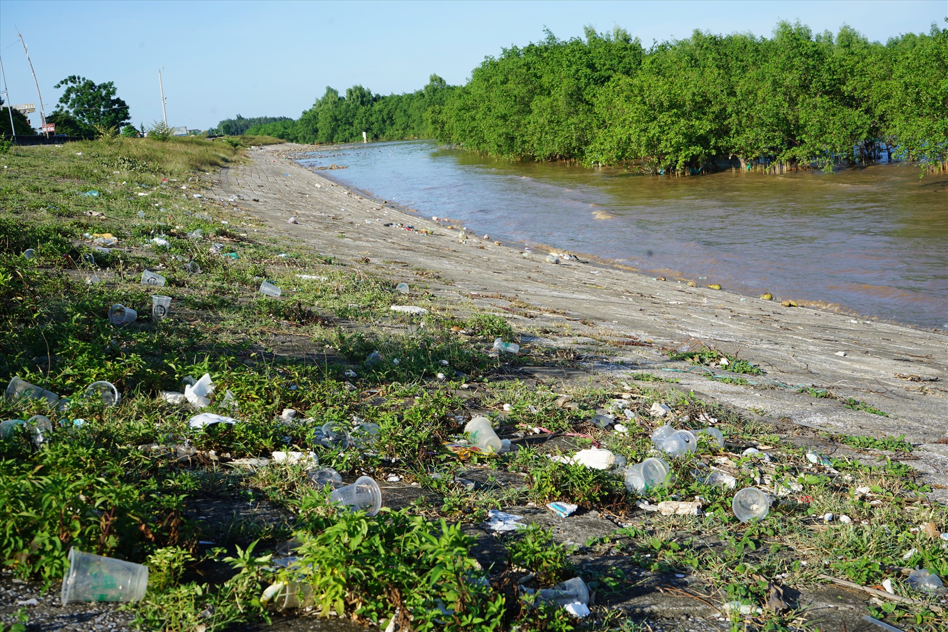 Dọc bờ biển của xã Hưng Lộc, nhiều hàng quán vứt bỏ vô số các cốc nhựa. Ảnh: Quách Du