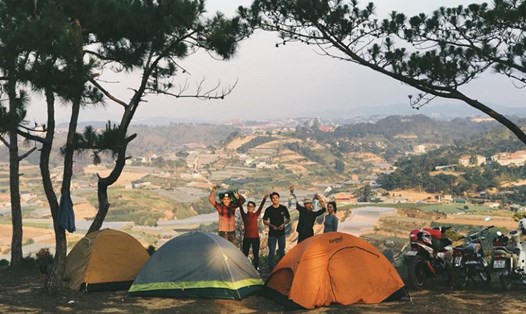 Đồi Đa Phú là một trong những điểm cắm trại nổi tiếng nhất Đà Lạt, Lâm Đồng. Ảnh: Du lịch Đà Lạt