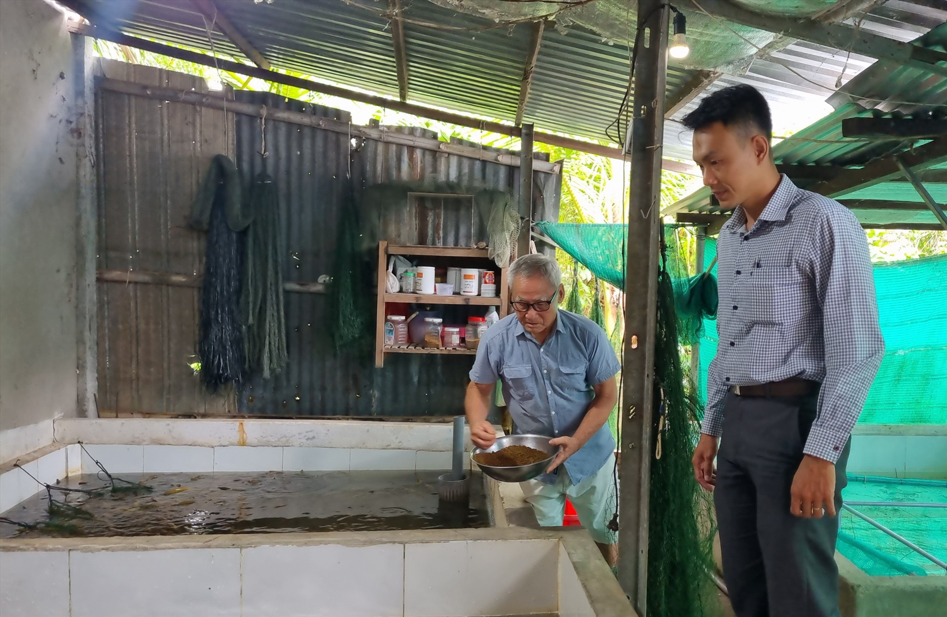 Có hơn 20 nông dân tuổi xế chiều tham gia Chi hội nghề nghiệp, nuôi lươn không bùn ở Phường 8, TP Vĩnh Long. Ảnh: Hoàng Lộc
