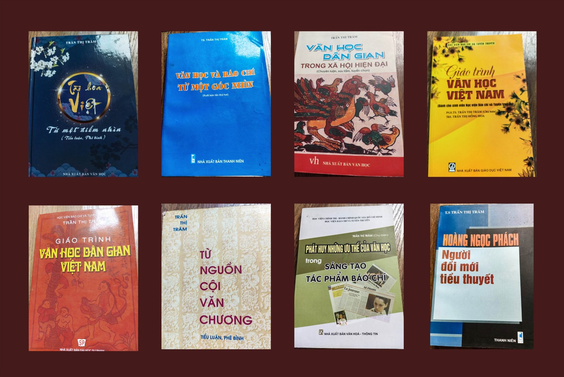 Các cuốn sách của PGS Trần Thị Trâm. Ảnh nhân vật cung cấp