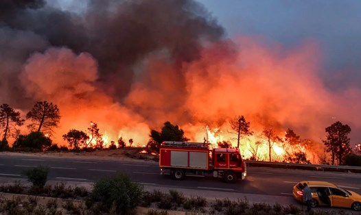 Cháy rừng gần Melloula ở tây bắc Tunisia ngày 24.7.2023. Ảnh: AFP