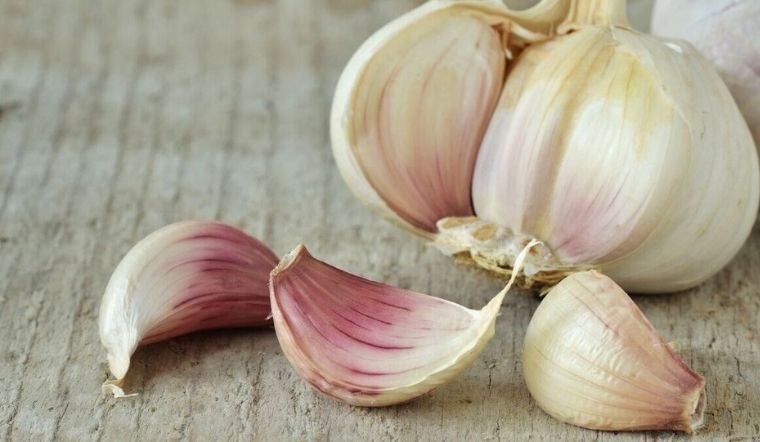 Tỏi giúp giảm cholesterol cho người bệnh tim. Ảnh: Fortune