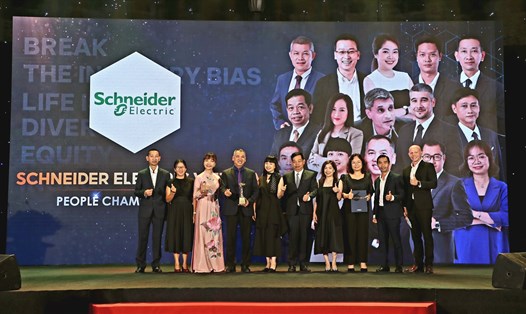 Giải thưởng ghi nhận nỗ lực của Schneider Electric trong việc không ngừng cải tiến chính sách nhân sự và xây dựng mô hình quản trị bền vững. Ảnh: DN cung cấp