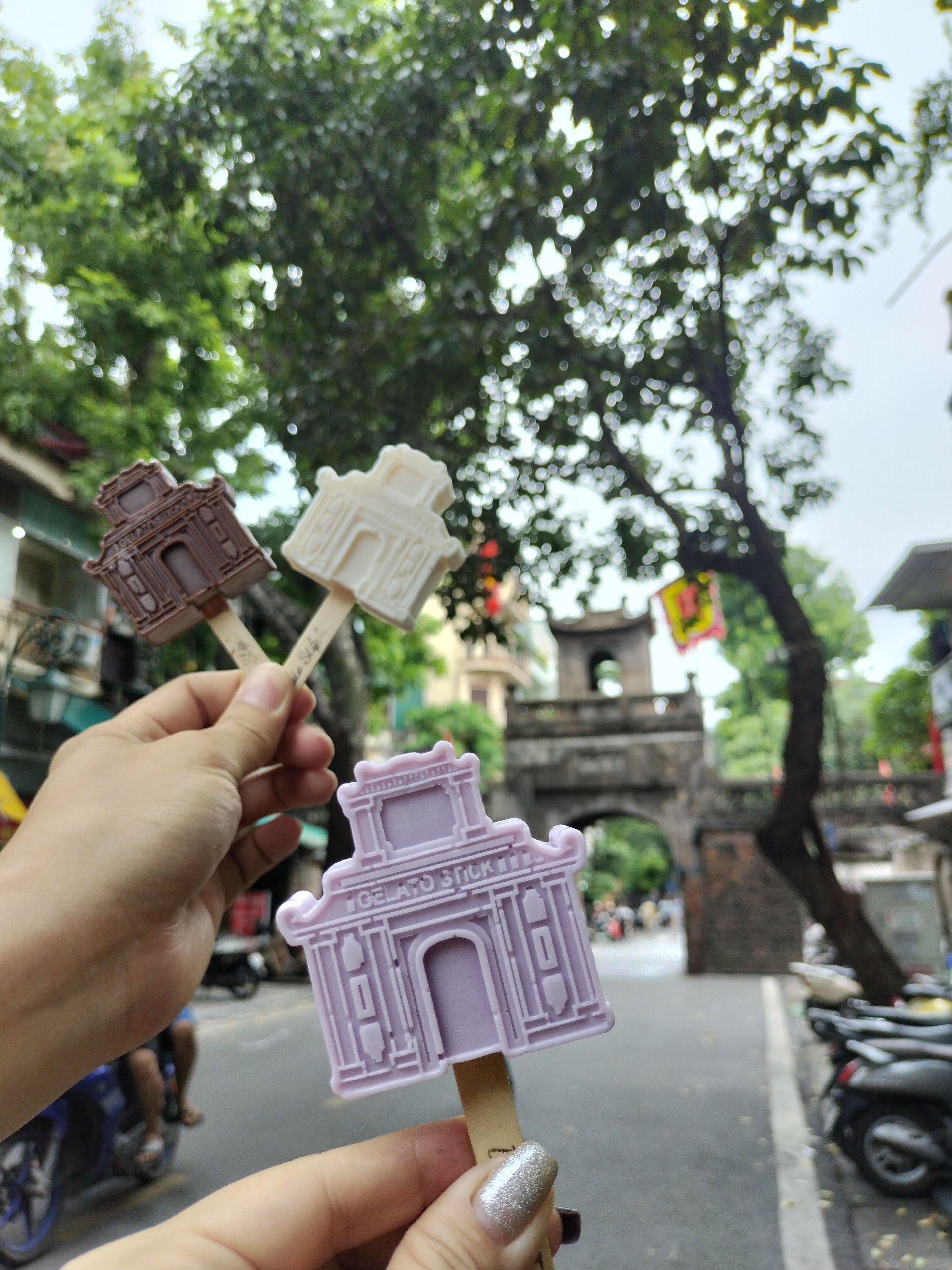 Kem hình ô Quan Chưởng. Ảnh: NVCC.