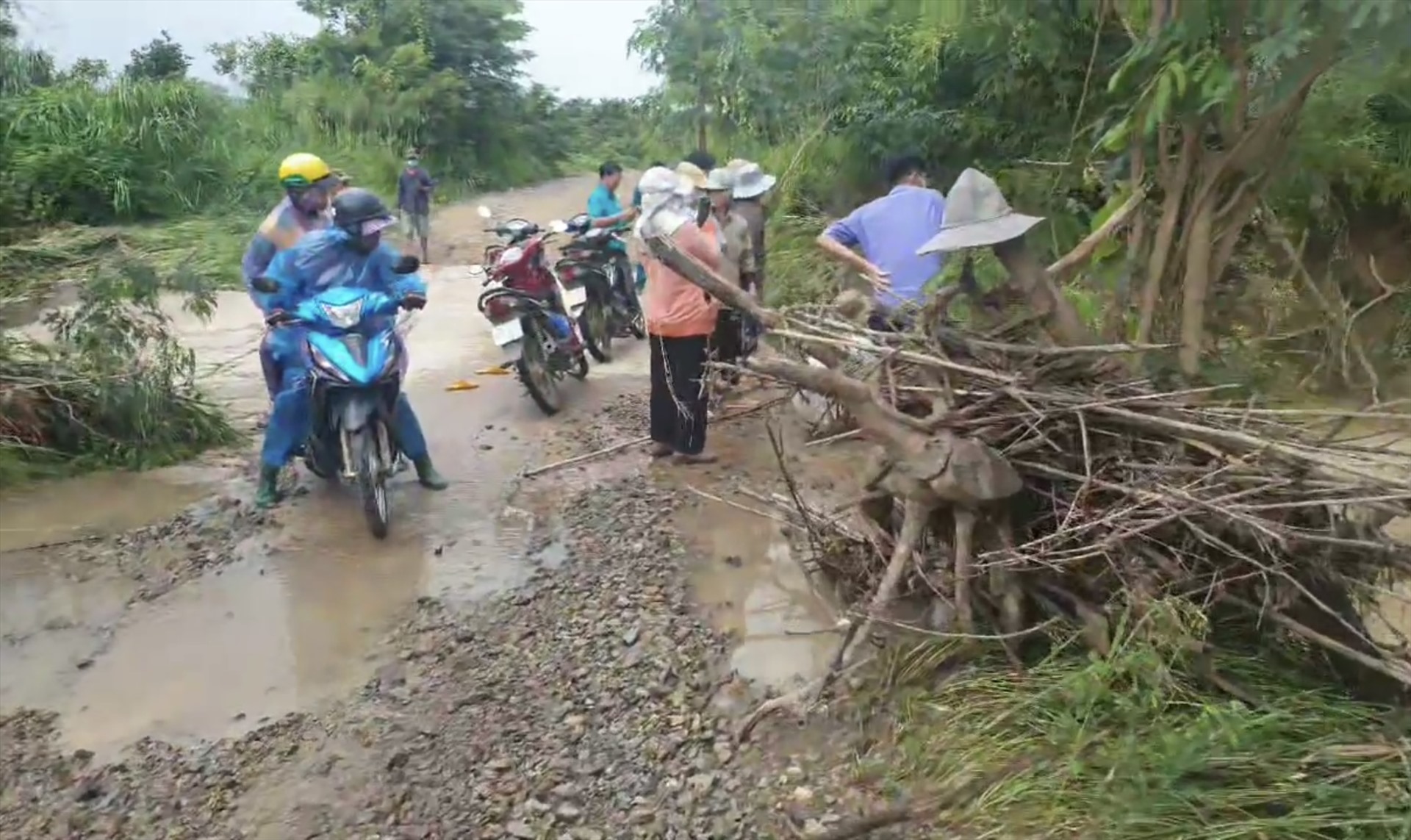 Khu vực suối phát hiện vụ việc. Ảnh: Phạm Duy