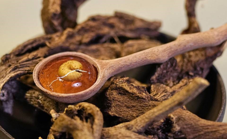 Tagame Cider là một loại đồ uống có ga được làm từ chiết xuất của bọ nước khổng lồ và trang trí bởi phiên bản sấy khô của loài côn trùng này.
