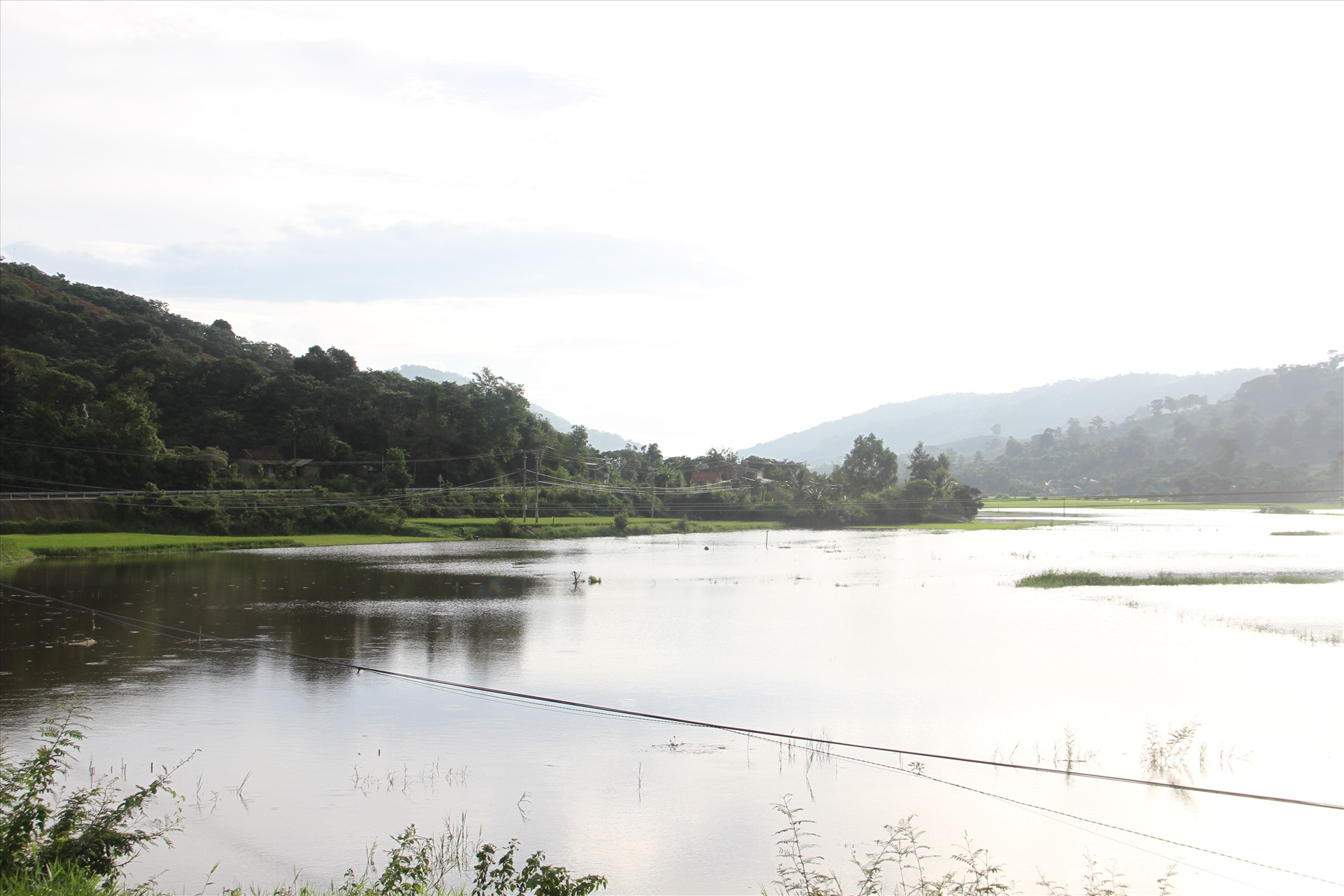 Mưa lũ đã nhấn chìm khoảng 750 ha lúa vụ hè thu của huyện Lắk (Tiến Thoại)