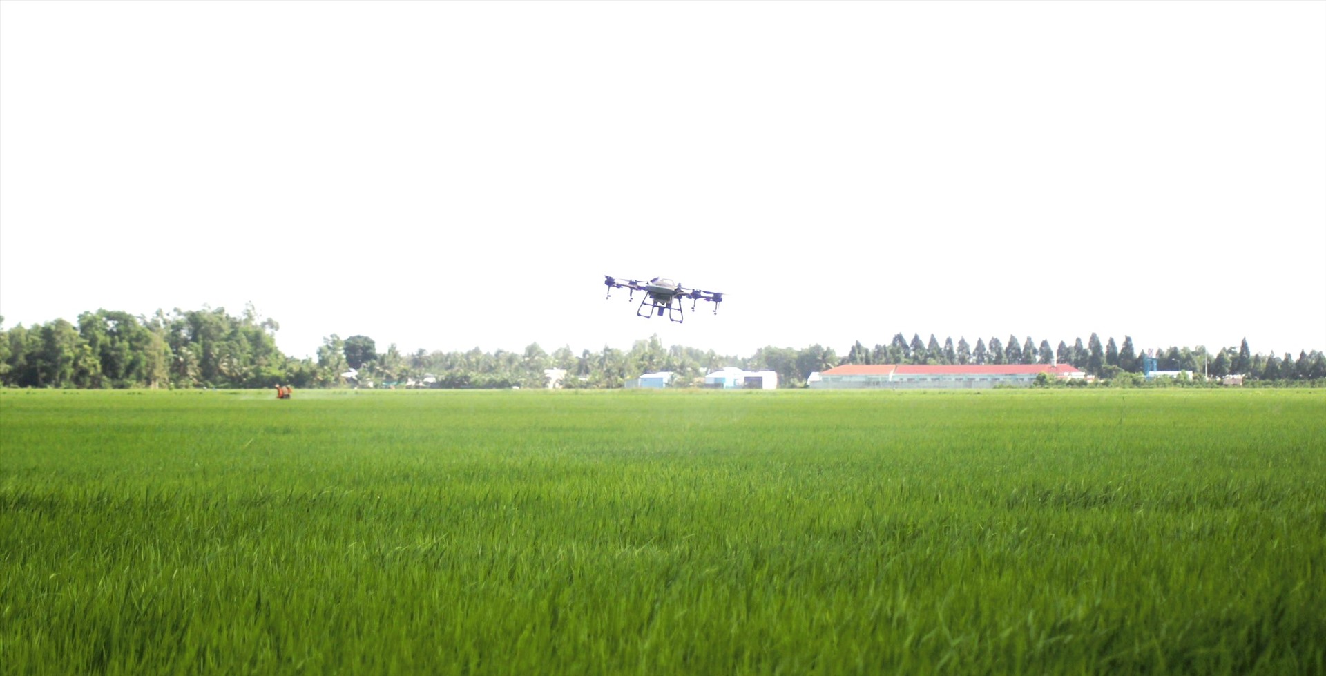 Sử dụng thiết bị máy bay phun thuốc mang lại những thay đổi tích cực trong canh tác, gieo trồng. Ảnh: Bích Ngọc