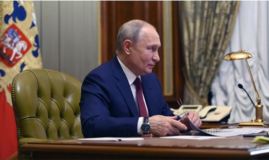 Tổng thống Nga Vladimir Putin trong cuộc gặp báo giới ở Strelna, Nga, ngày 29.7.2023. Ảnh: Sputnik