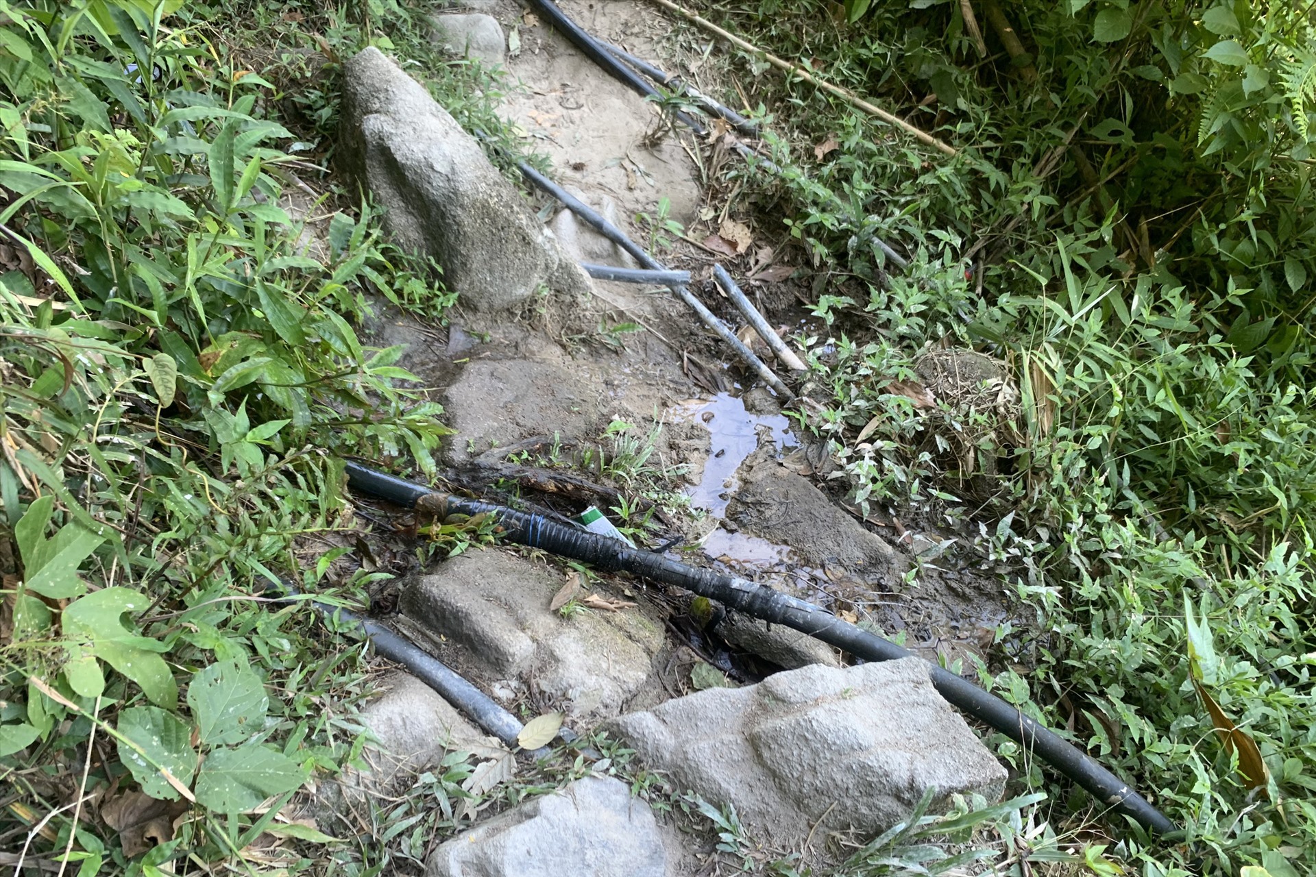 Đường ống nước người dân xã Quang Thọ tự bắt từ trên núi về để dùng khi nhà máy nước sạch hư hỏng không cấp được nước nữa. Ảnh: Trần Tuấn.