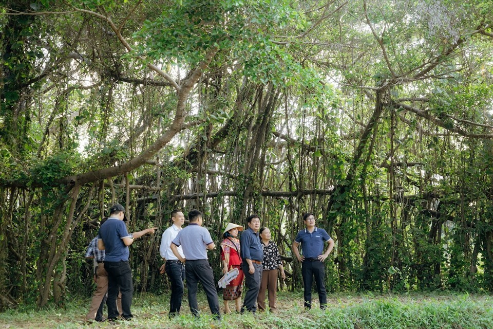 Du khách đến tham quan một khu du lịch ở huyện Buôn Đôn. Ảnh: Bảo Trung
