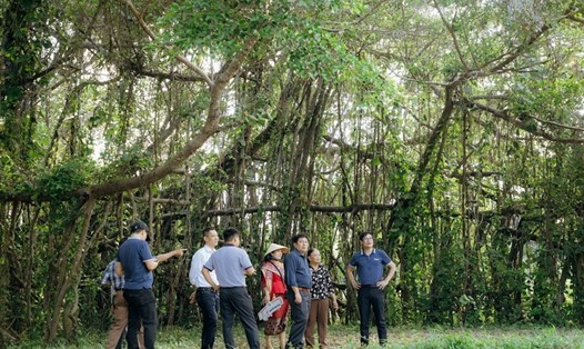 Du khách đến tham quan một khu du lịch ở huyện Buôn Đôn. Ảnh: Bảo Trung