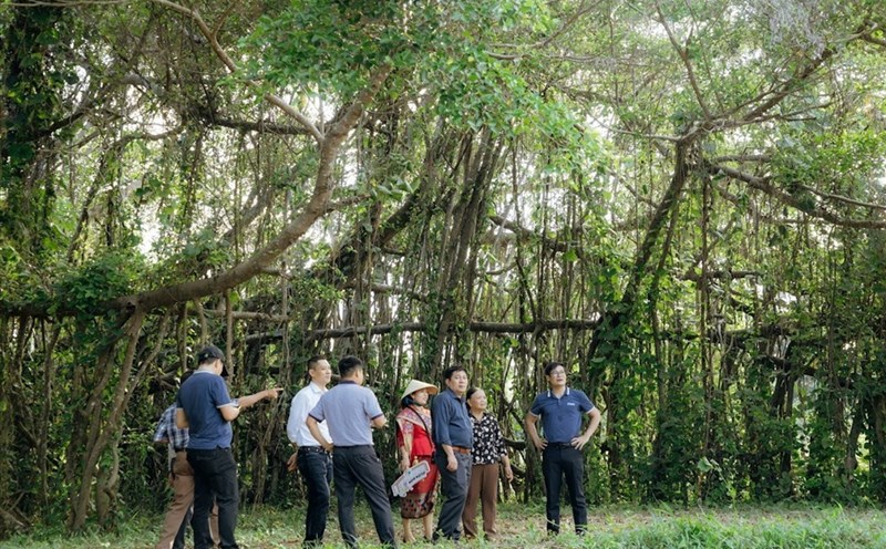 Du khách đến tham quan một khu du lịch ở huyện Buôn Đôn. Ảnh: Bảo Trung
