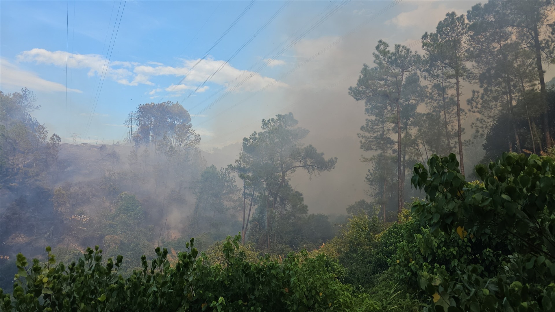 Lãnh đạo Chi Cục kiểm lâm tỉnh Thừa Thiên Huế cho biết, khoảng 14h30 chiều cùng ngày, đơn vị nhận được tin xảy ra cháy rừng thông nên huy động lực lượng, phương tiện đến hiện trường để dập lửa. 