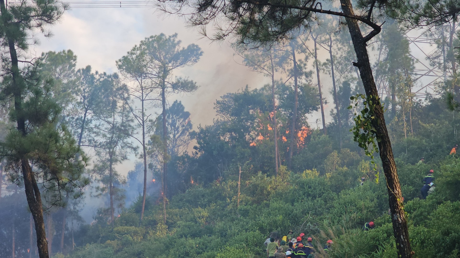Hiện vẫn chưa thống kê được diện tích rừng thông bị cháy. 