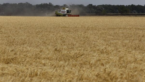 Thu hoạch ngũ cốc ở Ukraina, tháng 7.2022. Ảnh: Xinhua