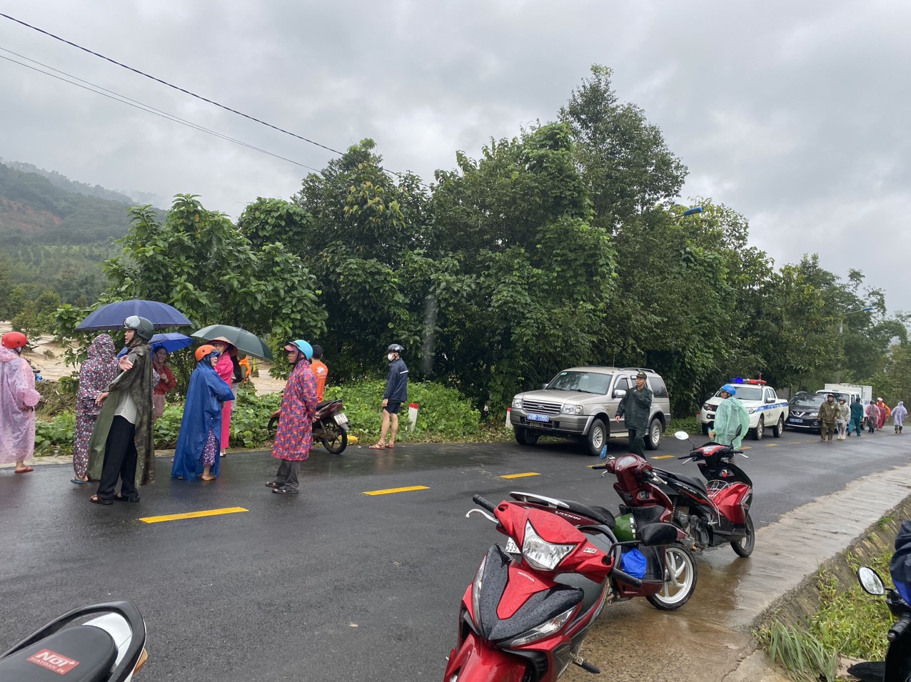 Trên địa bàn các huyện Di Linh, Bảo Lâm, Đạ Huoai và thành phố Bảo Lộc xuất hiện nhiều đợt mưa lớn kéo dài trên diện rộng. 