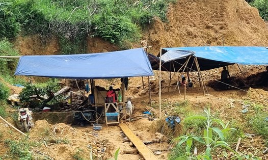 Lán trại phu vàng dựng lên để khai thác trái phép tại mỏ vàng 5A xã Phước Chánh, huyện Phước Sơn, Quảng Nam (ảnh chụp ngày 20.7.2023).  Ảnh: Hoàng Bin